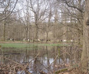 28-03-2023 - Meldert (31)