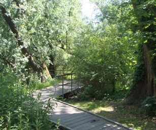 Te gek - 01-06-2020 (39)