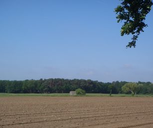 Haacht - 06-06-2021 (13)