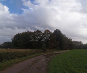 29-10-2023 - Wetteren (4)