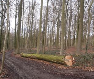 25-03-2023 - Buissenal (22)