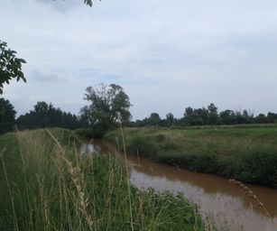 Oud Heverlee - 27-06-2021 (32)