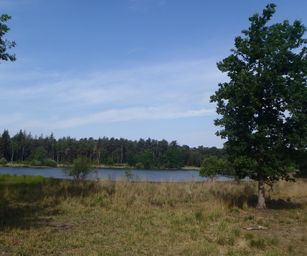 04-06-2022 Bergen-op-zoom (11)