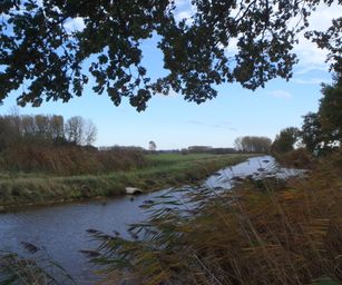 Wetteren - 31-10-2020 (33)