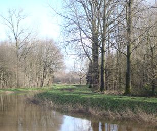 09-01-2022 - Hulsthout  (22)