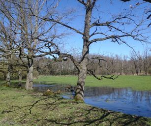 03-04-2023 - Diepenbeek (20)