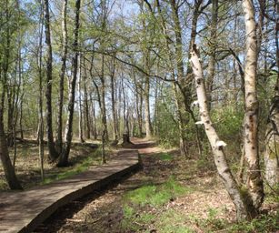 30-04-2023 - Herzele (7)
