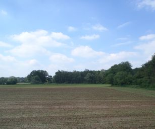 Haacht - 06-06-2021 (23)