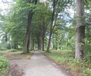 Blanden - 15-08-2020 (13)