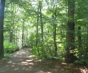 Oud Heverlee - 23-07-2020 (3)