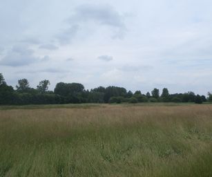 Oud Heverlee - 27-06-2021 (33)