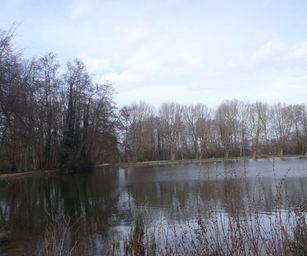 Kessel-Lo - 28-03-2021 (37)