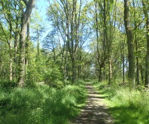 Heindonk - 13-06-2021 (34)