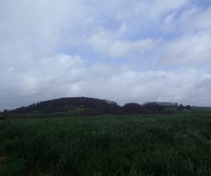 25-03-2023 - Buissenal (1)