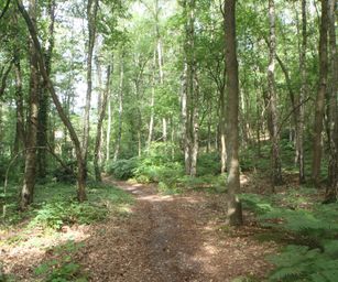18-07-2023 - Opoeteren (2)