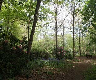 30-04-2022 - Destelbergen (10)