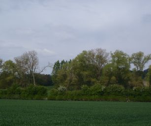 01-05-2022 - Herzele (11)