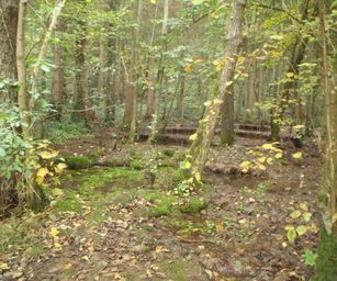 Brugge Knokke - 24-10-2020 (1)