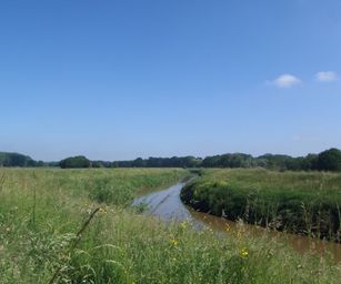 Haacht - 06-06-2021 (11)
