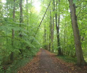 24-09-2022 Melle (5)