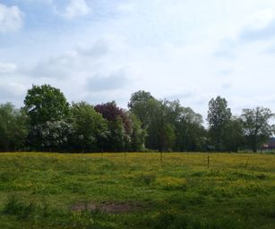 01-05-2022 - Herzele (4)