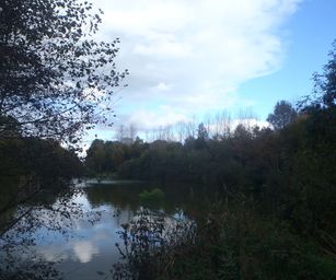 22-10-2023 - Beloeil (46)