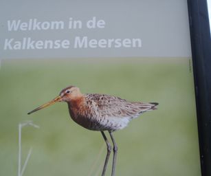 Wetteren - 31-10-2020 (36)