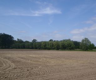 30-05-2023 - Assebroek (9)