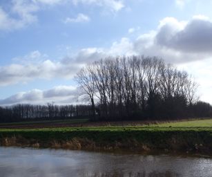 09-01-2022 - Hulsthout  (17)