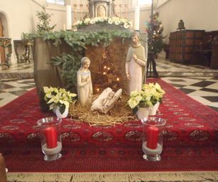 Wezemaal - 20-12-2020 (7)
