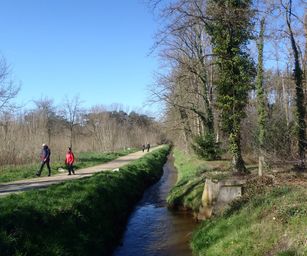 03-04-2023 - Diepenbeek (1)