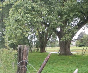 24-09-2022 Melle (1)