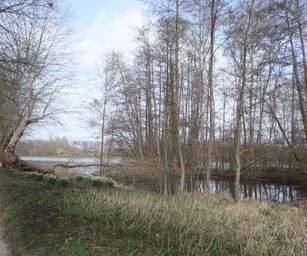 Kessel-Lo - 28-03-2021 (35)
