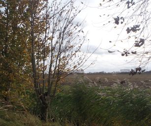 Brugge Knokke - 24-10-2020 (12)