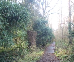 Wezemaal - 20-12-2020 (2)