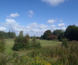 Diest  - 05-09-2020 (13)