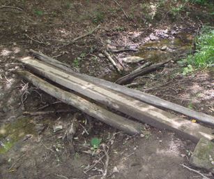 Haversin - 19-07-2020 (24)
