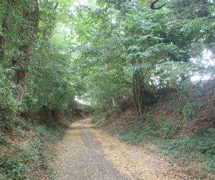 Holsbeek - 02-08-2020 (19)