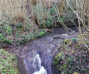 Péronnes-lez-Antoing - 01-03-2020 (1)