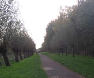 11-11-2022 Destelbergen 3 (13)