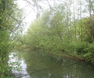 05-05-2023 - Dordrecht (20)