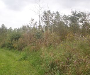 Schelle - 29-08-2021 (3)