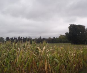 24-09-2022 Melle (2)