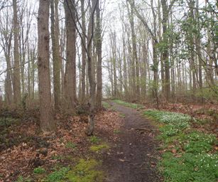 16-04-2023 - Winksele (11)