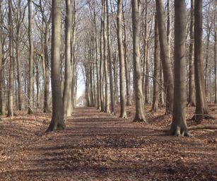 Bottelare 20-02-2021 (14)