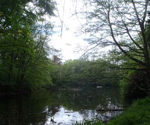 30-04-2022 - Destelbergen (5)