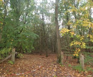 29-10-2023 - Wetteren (6)