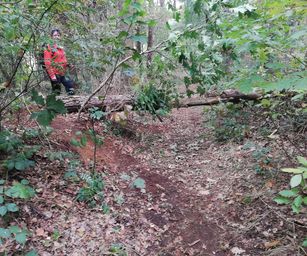 Paal - 18-10-2020 (18)