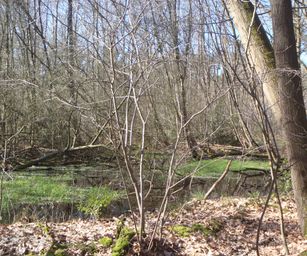 03-04-2023 - Diepenbeek (8)