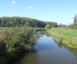 Diest  - 05-09-2020 (7)